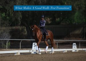 A rider on a chestnut horse performs a dressage movement in an outdoor arena, passing letter markers S and H, with the text, What Makes A Good Walk-Trot Transition?—a key skill in horse riding—displayed above.