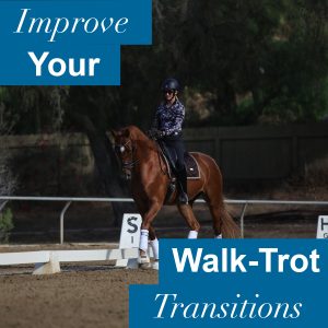 A rider on a chestnut horse practices dressage in an outdoor arena, focusing on achieving a good walk-trot transition. Text reads, Improve Your Walk-Trot Transitions. Trees and a fence are in the background.