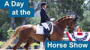 A rider in formal equestrian attire guides a brown horse during a Horse Show, outdoors with trees and patriotic decorations. Bold blue text reads “A Day at the Horse Show.”.