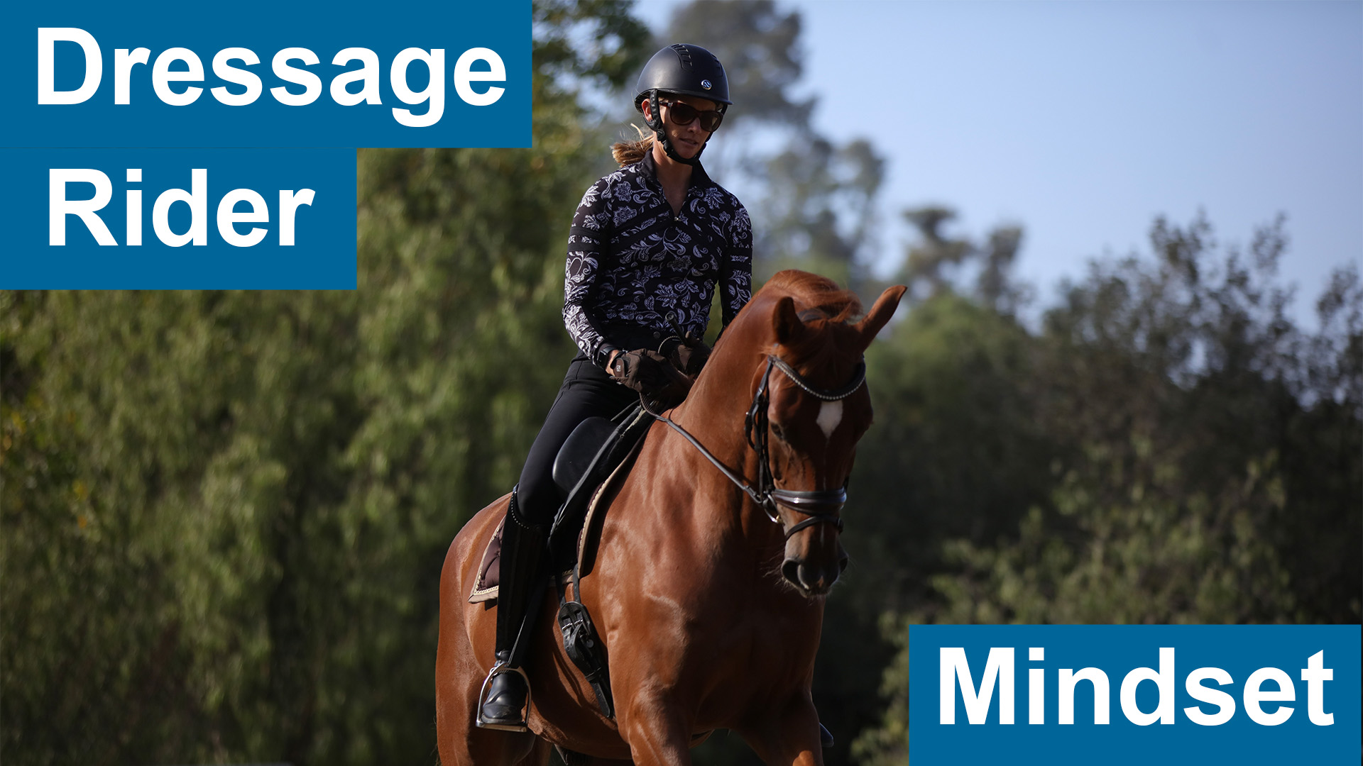 A person rides a chestnut horse outdoors, wearing a helmet and patterned shirt. Blue boxes with white text read “Dressage Rider” and “Dressage Mindset.” Trees and a blue sky complete this elegant equestrian scene.
