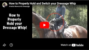 YouTube video thumbnail shows a person riding a horse, using a dressage whip. Text on the left reads, How to Properly Hold your Dressage Whip! The person's hands are circled in red, demonstrating how to hold dressage whip correctly.