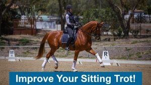 A rider wearing a helmet and vest is riding a chestnut horse in a dressage arena, performing a sitting trot. Text at the bottom reads, Improve Your Sitting Trot! Learn how to avoid common mistakes in horse riding.