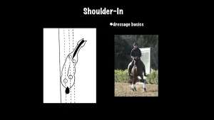Diagram showing a horse’s shoulder in dressage movement beside a photo of a rider performing it. Text reads “Shoulder-In” and “#dressage basics” on a black background—perfect for understanding this essential dressage training exercise.