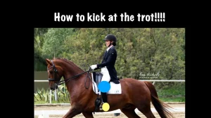 A person in equestrian attire rides a brown horse at a trot in an outdoor arena, with the text How to kick at the trot!!!! above. Blue and yellow circles highlight parts of the rider’s and horse’s legs for effective trot kicking.