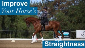 A rider in a helmet and patterned shirt rides a chestnut horse in an outdoor arena. Text reads, Improve Your Horse’s Straightness—even on the stiff side. There are trees and banners in the background.