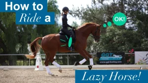 A rider in black gear is riding a chestnut horse in an outdoor arena with trees in the background. Text says, How to Ride a Lazy Horse! and a speech bubble from the horse says, OK!.