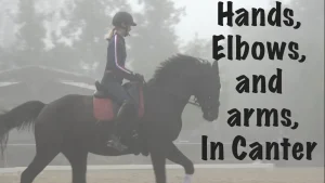 A person wearing a helmet rides a black horse with a red saddle pad in a foggy outdoor arena. Large text on the right reads, Hands, Elbows, and Arms in Canter, highlighting the importance of elbows in canter.