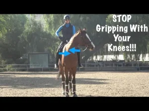 A horseback rider sits upright on a brown horse in an outdoor arena, demonstrating proper riding posture. Blue arrows point to the rider's knees with text: STOP Gripping With Your Knees! Trees and a fence are visible in the background.