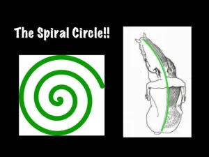 A green spiral appears on the left, while on the right, a black-and-white horse and rider are overlaid with a green curved line mirroring the Spiral Circle. Text reads The Spiral Circle!!.