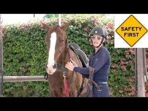 A person in riding gear stands beside a brown horse with a white blaze. A Safety First sign reminds everyone of the importance of safety, while flowering bushes add color to the background.