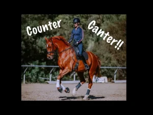 A person wearing a helmet and riding gear is performing a counter canter on a chestnut horse in an outdoor arena. The words “Counter Canter!!” appear across the top of the image in white, playful letters.