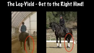 Two images of dressage riders on dark horses highlight the right hind legs with red circles, illustrating the concept “The Leg-Yield – Get to the Right Hind.” Both riders are riding in arenas.