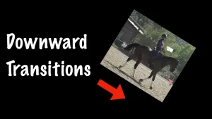 A person riding a dark horse in an outdoor arena demonstrates Downward Transitions, with the words "Downward Transitions" in white text and a red arrow pointing to the rider.