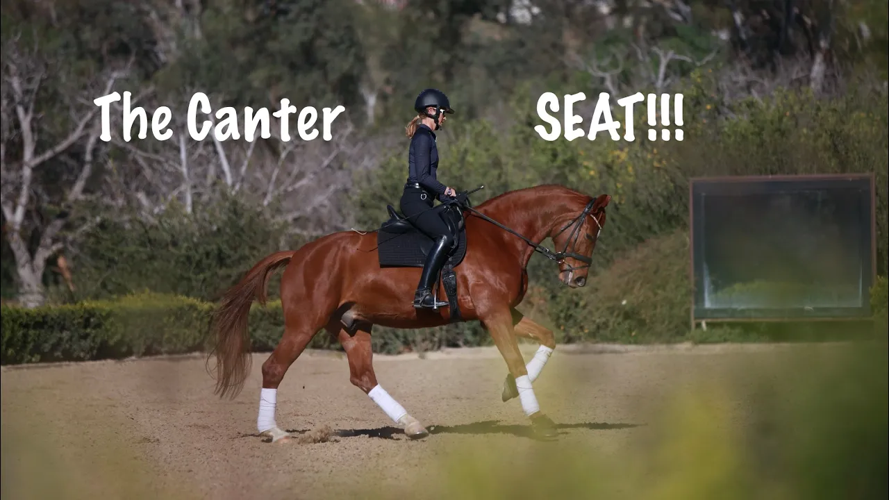 A person riding a chestnut horse at a canter in an outdoor arena, both in riding gear. The text reads The Canter Seat!!!, highlighting the difference between a tight seat and a loose seat. Trees and greenery fill the background.
