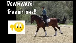 A person rides a brown horse with white leg wraps in an outdoor arena, practicing smooth downward transitions. Text reads “Downward Transitions!!” with a waving hand emoji and a wavy-mouthed face in the bottom left corner.