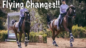 A person rides a dark horse in an outdoor arena performing flying changes during dressage, with the text “Flying Changes!!” in bold white letters at the top. The image shows two side-by-side action shots of the horse and rider.