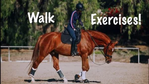 A person in equestrian gear rides a chestnut horse in an outdoor arena, demonstrating walk exercises. The words Walk Exercises! appear in large white text on the image, with lush trees and greenery in the background.