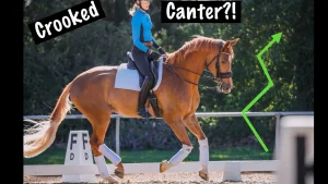 A rider in a blue shirt canters on a chestnut horse in a dressage arena. Text reads Fix Crooked Canter?! with a green arrow pointing upward and to the right, highlighting the horse's diagonal movement.