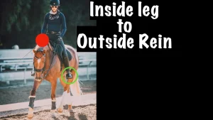 A rider on a chestnut horse demonstrates a dressage move. A red dot marks the inside leg, while a green circle highlights the outside rein. Text reads, “Inside leg to Outside Rein.”.