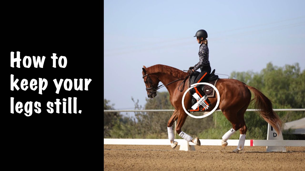 A rider in a black helmet and patterned shirt rides a chestnut horse in an outdoor arena. Text reads How to keep your legs still. A circle and arrows highlight the rider’s legs, emphasizing the importance of ankle stability.
