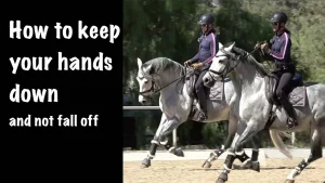 A person in riding gear rides a gray horse next to another gray horse in an arena. The text reads, How to keep your hands down and don’t fall off.