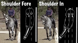 A rider on a gray horse demonstrates two dressage movements: Shoulder-Fore on the left and Shoulder-In on the right, each with diagrams highlighting the dressage angles of the horse’s body.
