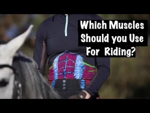 A person in dark riding clothes sits on a gray horse. The rider’s torso displays highlighted core muscles used in riding. Text overlay reads, Which Muscles Should You Use For Riding? Discover key horseback riding muscles.
