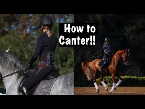 Split image: Left shows a person in riding gear on a gray horse from behind; right shows a rider cantering on a chestnut horse. Text in the center reads How to Canter!! Learn about key horse riding muscles for mastering the canter.