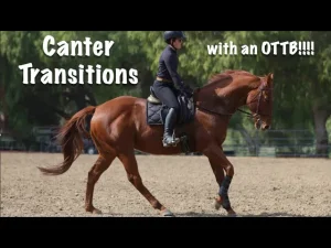 A rider in black gear is cantering a chestnut horse in an outdoor arena. Text on the image reads, Canter Transitions with an OTTB!!!! Trees are visible in the background, highlighting thoroughbred training and canter transitions.
