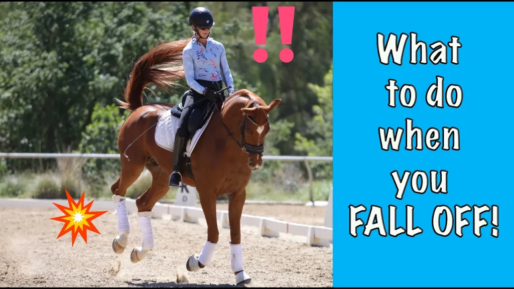 A rider is falling off a brown horse in an outdoor arena. Red exclamation marks and a cartoon explosion highlight the fall. On the right, text reads: What to do when you FALL OFF! Discover safety tips in bold white and blue letters.