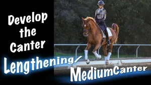 A person rides a chestnut horse in an outdoor arena, demonstrating Canter Lengthening and Medium Canter. The text on the left reads, Develop the Canter Lengthening Medium Canter. The rider wears a helmet, sunglasses, and a patterned top.