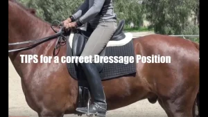 A person riding a brown horse with the text TIPS for a correct dressage position overlaid; the rider is shown from the shoulders down, demonstrating proper posture and offering valuable dressage tips.