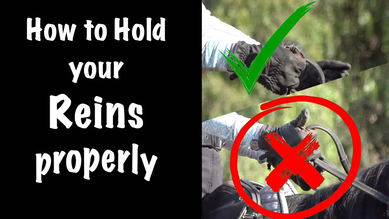 Side-by-side images show the correct and incorrect ways for how to hold reins on a horse. The correct grip is marked with a green check, and the incorrect grip with a red X. Text reads: How to Hold your Reins properly.