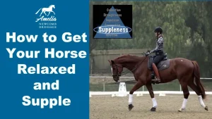 A rider in equestrian attire guides a brown, supple horse in an arena. Text reads How to Get Your Horse Relaxed and Supple alongside a blue triangle diagram and Amelia Newcomb Dressage logo at the top left.