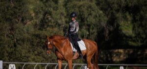 A person in an equestrian helmet and patterned shirt is riding a chestnut horse in an outdoor arena, surrounded by trees, with lettered dressage markers visible on the fence.