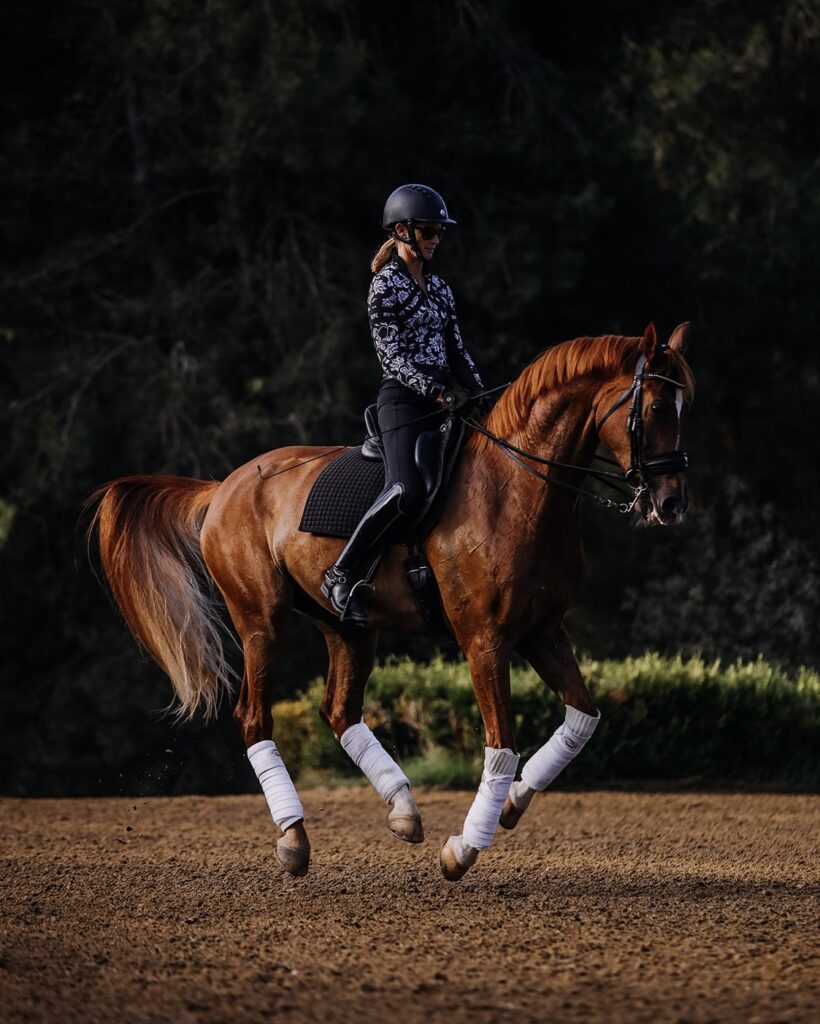 A person wearing a helmet and patterned shirt rides a chestnut horse with white leg wraps, performing dressage on a sandy arena with trees in the background—perfect inspiration for your Free Cantering PDF.