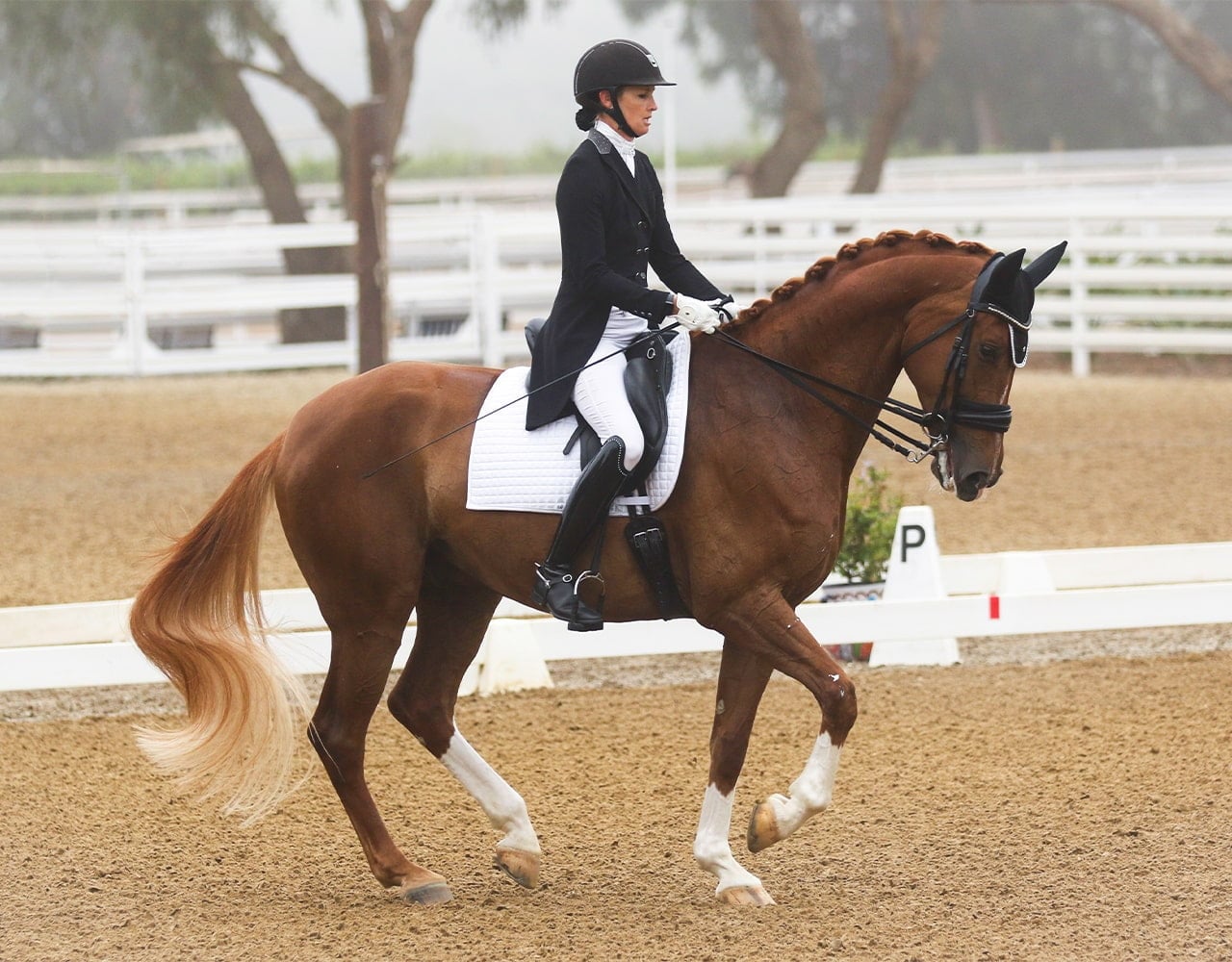 A person dressed in formal riding attire performs dressage on a chestnut horse with a braided mane in an outdoor arena. White fencing and trees are visible in the background.