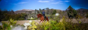 A person in equestrian attire rides a chestnut horse in an outdoor arena, surrounded by lush greenery and blooming flowers, while hills and blue sky form the perfect backdrop for this Elementor-inspired #4112 scene.