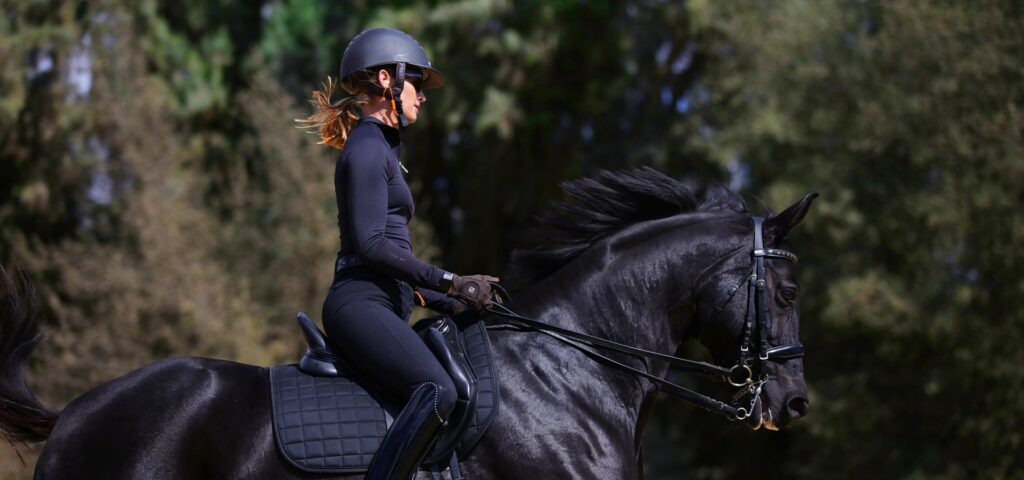 A person wearing a black helmet and outfit rides a black horse outdoors, surrounded by green trees. Both horse and rider appear focused and in motion, as if participating in expert masterclasses.