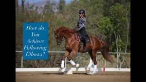 A person wearing a helmet rides a chestnut horse in an outdoor arena, demonstrating Following Elbows. Text on the left asks, How do You Achieve Following Elbows? Trees and a fence are visible in the background.