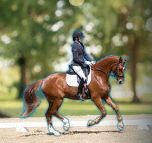 A horseback rider in formal riding attire rides a brown horse in an outdoor arena, outlined with a blue glow. The background is blurred with green trees and sunlight, capturing the progress inspired by 30 Days to Round.