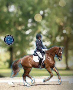 A person in riding gear is riding a brown horse in an outdoor equestrian arena, with trees and sunlight in the blurred background and a “30 Days to Round Road To Reno Challenge” logo on the left.