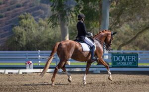 A rider in formal equestrian attire guides a chestnut horse during a dressage competition on a sandy arena, with white fencing, trees, and a Dover Saddlery sales page template sign in the background.