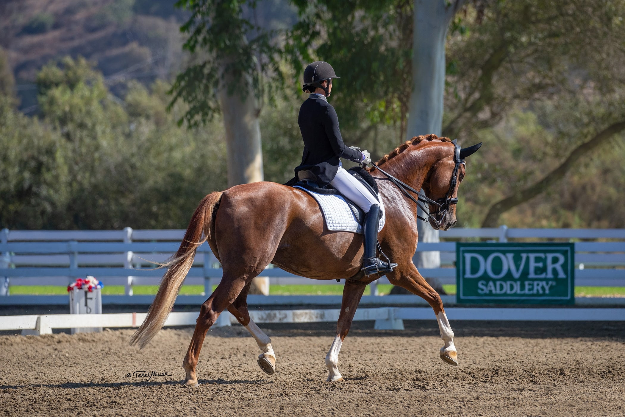 A rider in formal equestrian attire guides a chestnut horse through a dressage arena, framed by white fencing and a Dover Saddlery sign, creating an elegant scene worthy of a Sales Page Template.