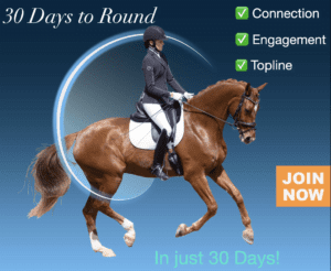 A rider in equestrian attire guides a chestnut horse in dressage. Text reads “30 Days to Round,” “Connection,” “Engagement,” “Topline,” and “JOIN NOW.” Blue background with “Free Webinar: In just 30 Days!” at the bottom.
