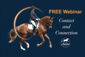 A rider in equestrian attire is riding a brown horse. Text reads “Free Webinar,” “Contact and Connection,” and “Amelia’s Dressage Academy” with a white horse logo on a dark blue background, highlighting the importance of rider-horse connection.