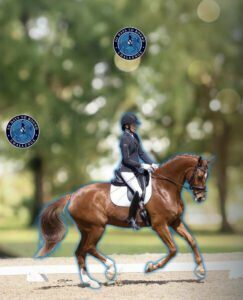A rider in formal equestrian attire and helmet is riding a chestnut horse in a dressage arena. The background is blurred with trees, and two blue “30 Days to Round Challenge” logos are visible at the top.