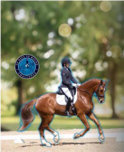 A rider in formal equestrian attire guides a bay horse in a dressage arena. A circular badge on the left reads “30 Days to Round Challenge,” highlighting their journey. The blurred greenery background emphasizes the horse and rider.