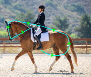 A rider in formal dressage attire rides a chestnut horse in an arena. Blue lines and green arrows highlight the horse’s posture as seen in 30 Days to Round. Trees and hills are visible in the background.