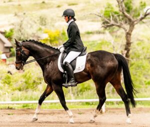 Amelia, in formal riding attire and helmet, rides a dark horse with a white saddle pad in an outdoor equestrian arena, practicing eye training amidst lush green foliage and trees.